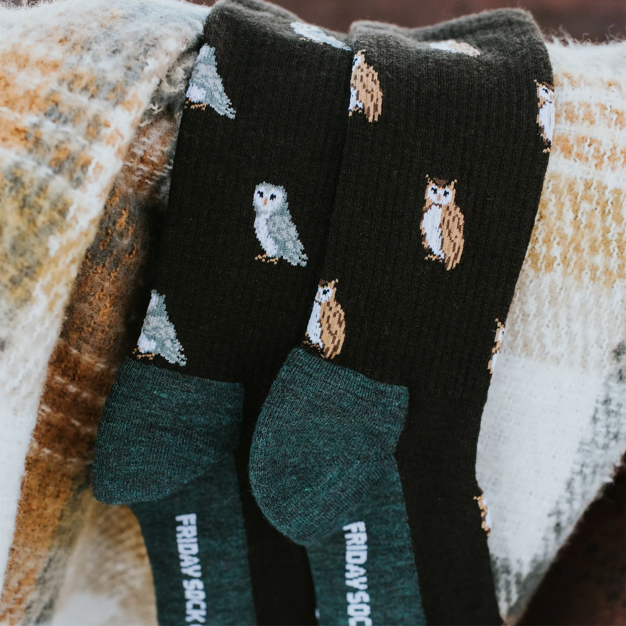 Men's Owl Merino Wool Socks